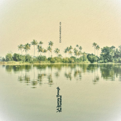 A Journey Through The Pantanal