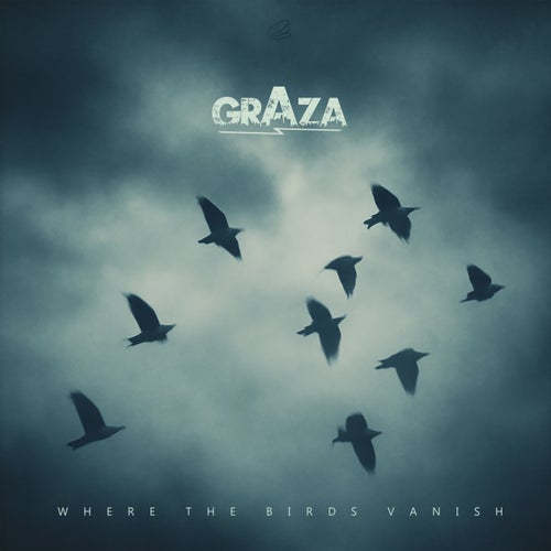 Where the Birds Vanish
