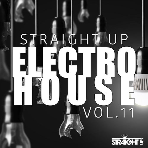 Straight Up Electro House! Vol. 11