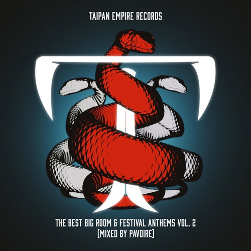 The Best Big Room & Festival Anthems Vol. 2