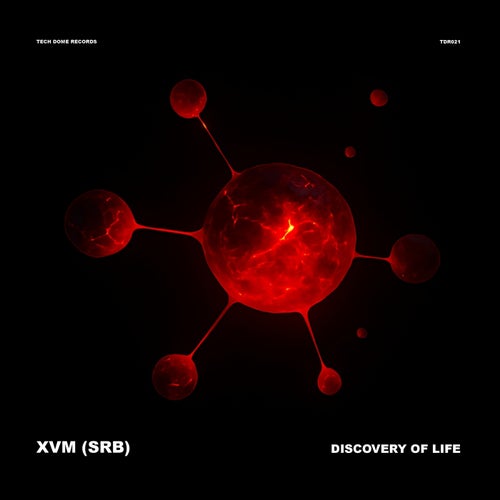 Discovery of Life