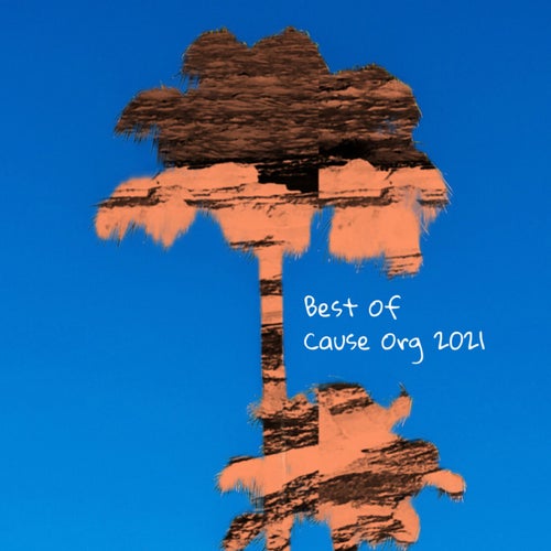 Cover art for Best Of Cause Org 2021