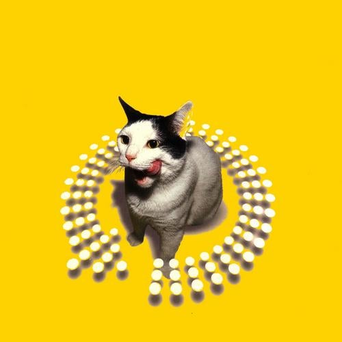 TWIST This Pussy (mixed By Peter Rauhofer)