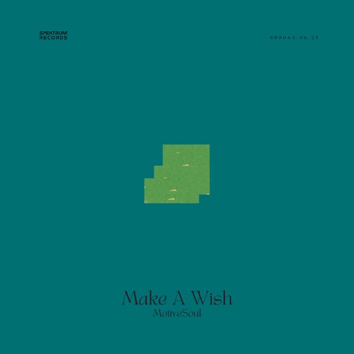 Make a Wish