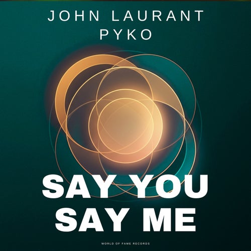 Say You Say Me