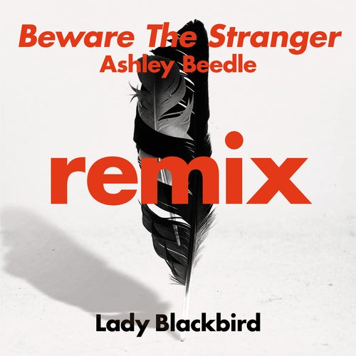 Beware The Stranger (Ashley Beedle Remix)