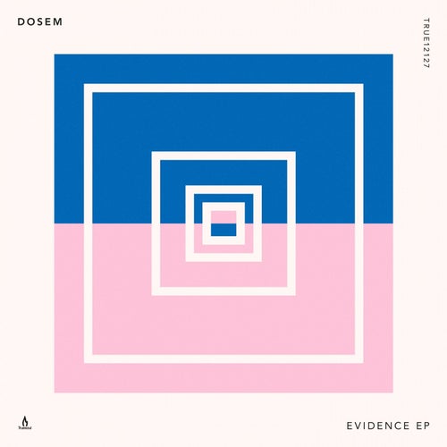 Evidence EP