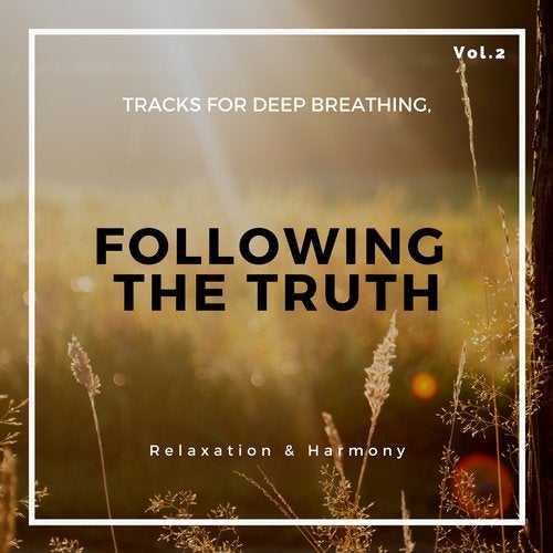 Cover art for Following The Truth - Tracks For Deep Breathing, Relaxation & Harmony, Vol.2