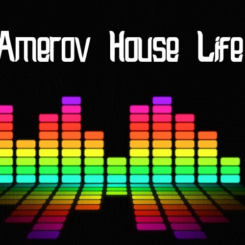 Amerov House Life