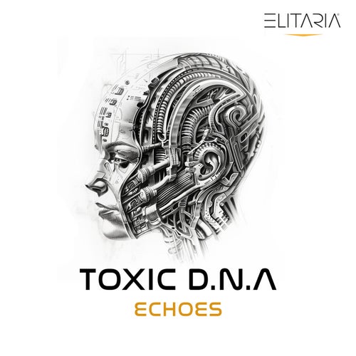 Echoes
