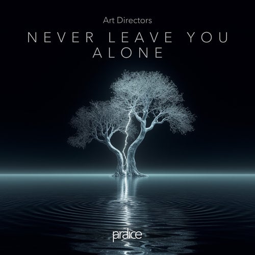 Never Leave You Alone (Extended Mix)