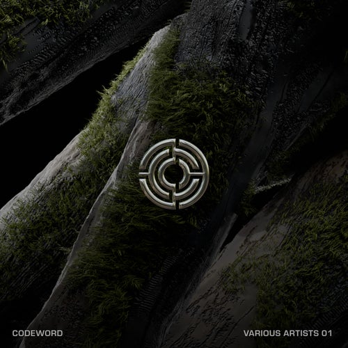 Codeword 01