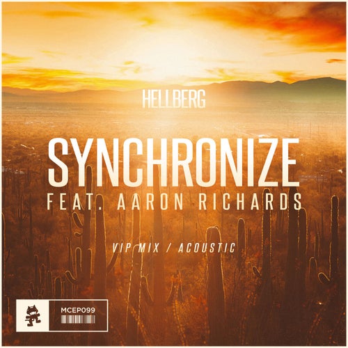 Cover art for Synchronize - VIP / Acoustic