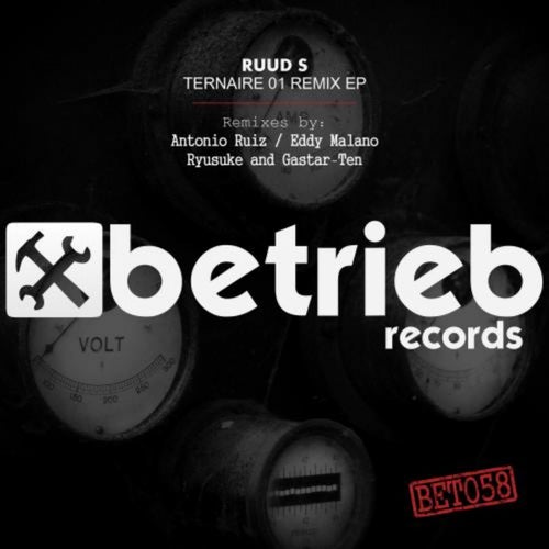 Ternaire 01 Remix EP