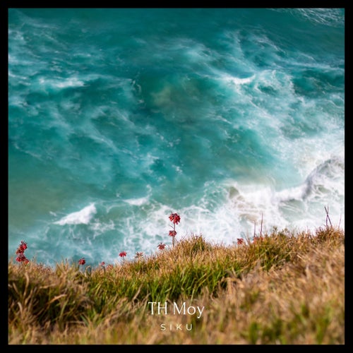 Cover art for Siku