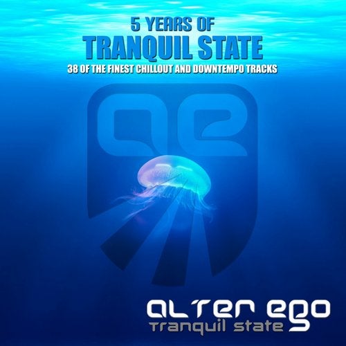 Cover art for Tranquil State: 5 Years Of