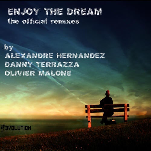 Enjoy The Dream The Official Remixes