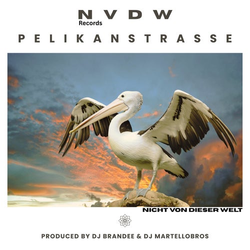Pelikanstrasse
