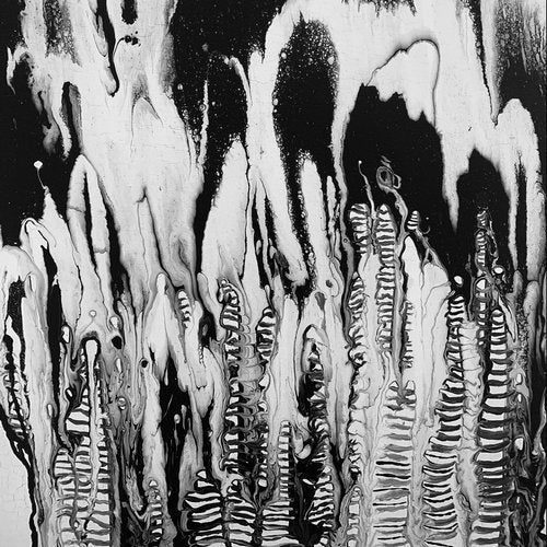 Cover art for The Collection