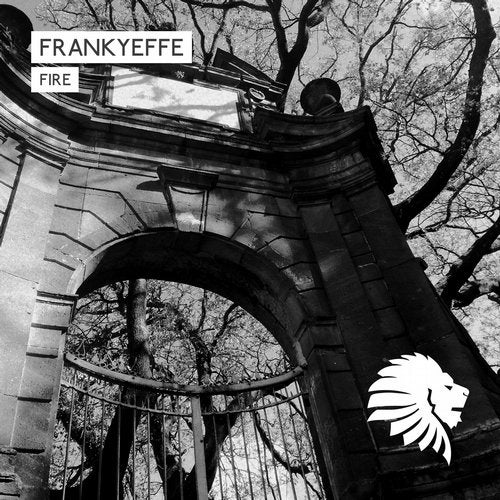 Cover art for Fire