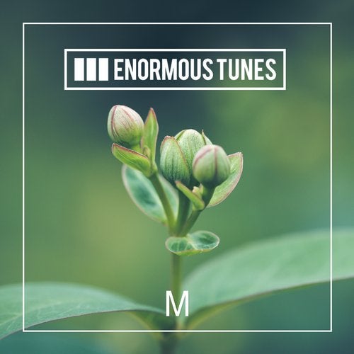 Cover art for Enormous Tunes - 1000