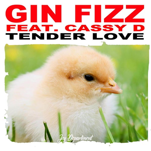Tender Love (feat. Cassy D) [Nu Ground Foundation Mixes]