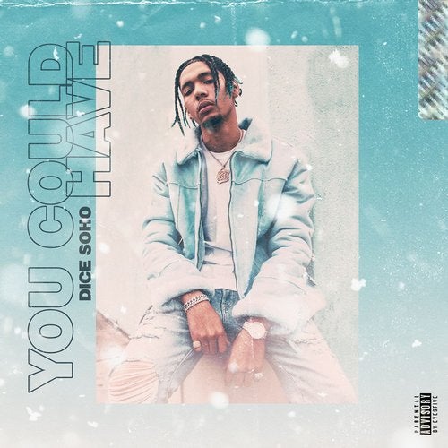Cover art for You Could Have