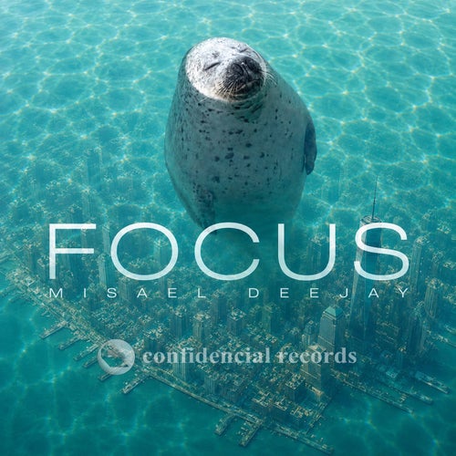 FOCUS
