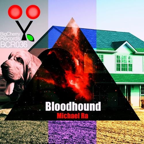 Bloodhound