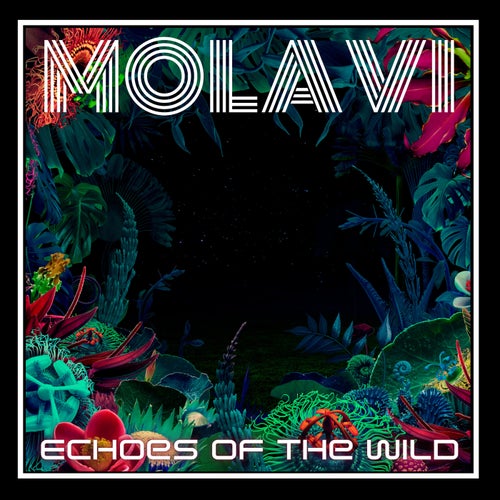 Echoes of the Wild