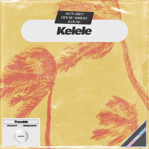 Kelele
