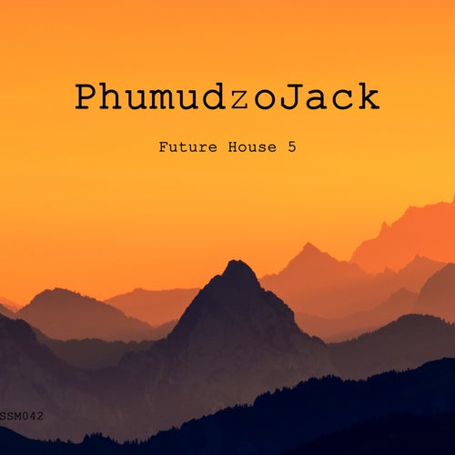 Future House 5
