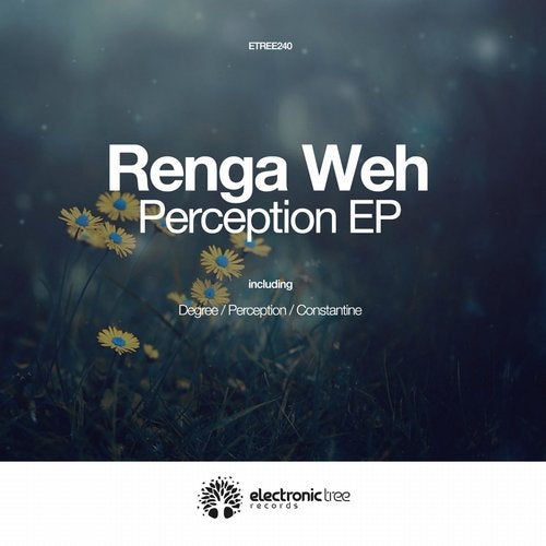 Cover art for Perception