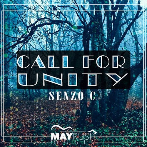 Call for Unity