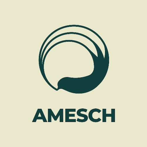 Amesch