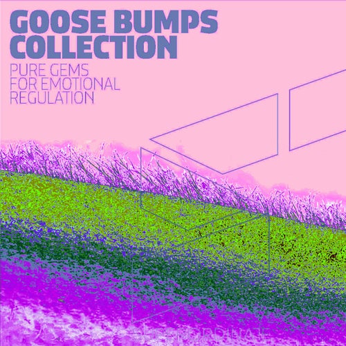 Goose Bumps Collection Vol 9 (2023)