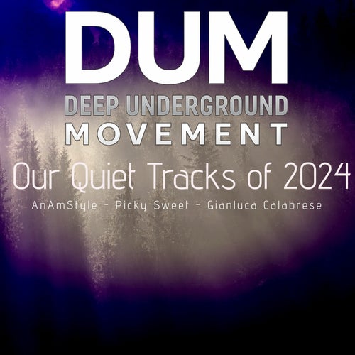 Our Quiet Tracks of 2024