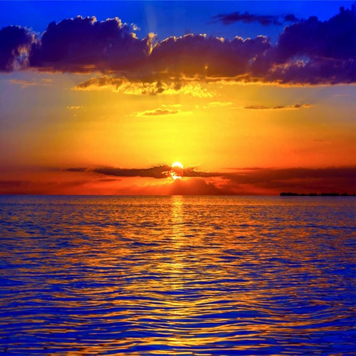 Love On The Sky