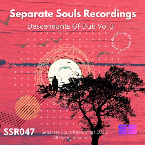 Separate Souls Recordings - Descendants Of Dub Vol .3