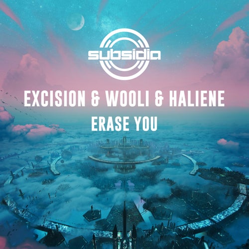 Cover art for Erase You