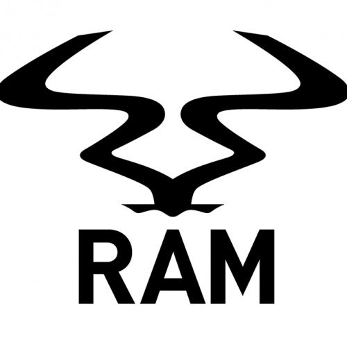 RAM25