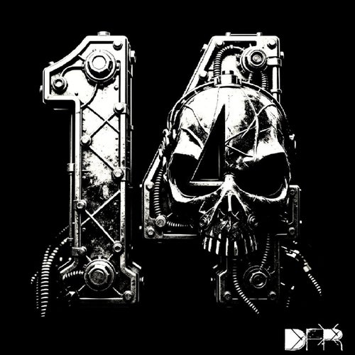 VA - 14 Years of DFR