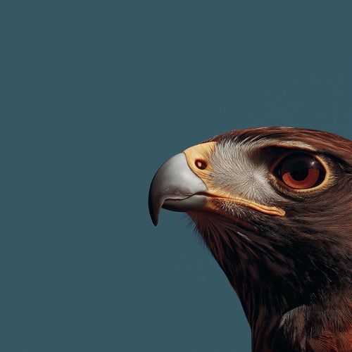 THE HAWK (432 Hz)