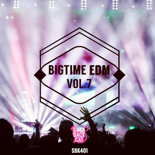 Bigtime EDM, Vol. 7