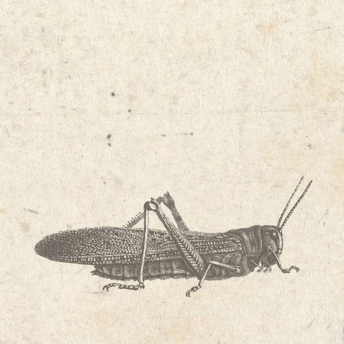 Cover art for First Tomorrow EP