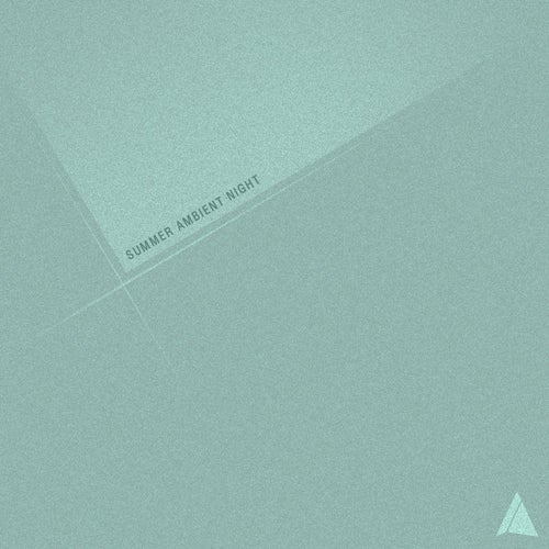 Summer Ambient Night