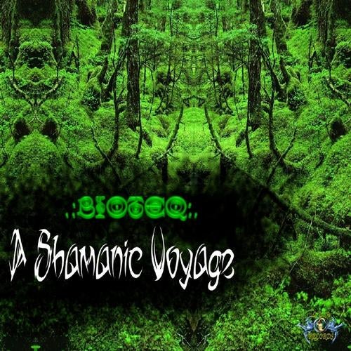 A Shamanic Voyage