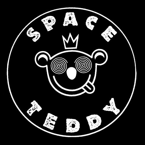 Space Teddy