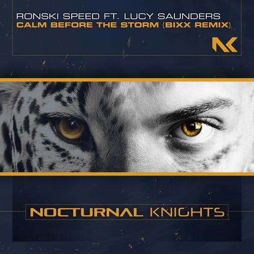 Ronski Speed Feat. Lucy Saunders - Calm Before The Storm (BiXX Extended Remix).mp3