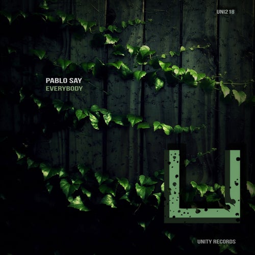 Cover art for Everybody